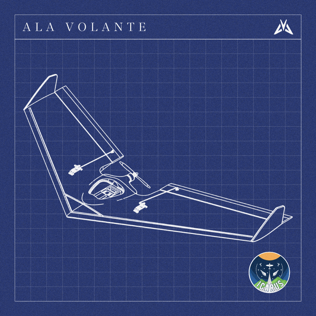 Flying wing blueprint